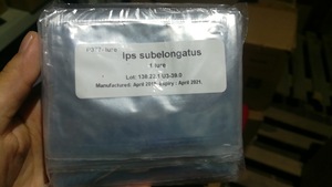 Phéromone <span class=keywords><strong>d</strong></span>'insecte Nong Xiaoer pour l'attraction du scolytus à huit dents (Ips Subelongatus) – Accessoires biologiques sud-américains - Product Image 2