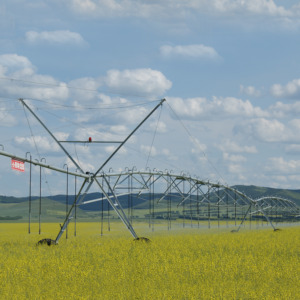 <span class=keywords><strong>2026</strong></span> 2020 Çin Fabrika Merkezi döner pivot sulama sistemi fıskiyesi satılık - Product Image 3