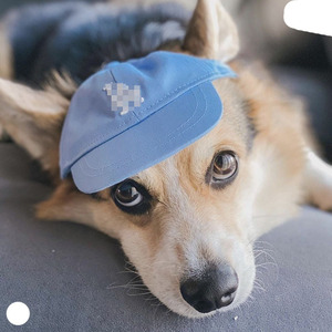 Casquette de baseball originale en forme d'ours en peluche pour chien, chapeau pour chien en coton uni, accessoire vestimentaire pour animaux de compagnie, pour l'extérieur, Noël, Halloween - Product Image 6