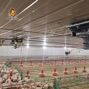 Tự động gia cầm trung chuyển và uống thiết bị gia cầm trang trại gà ăn hệ thống thiết bị - Product Image 2