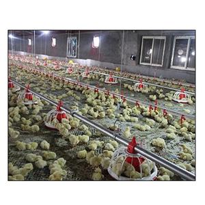 Automatische Kleine Plastic Vijzel Kippenvoeder Nieuwe Staat Pluimveevoeder Lijn Met Motor Voor Kip En Veevoeders - Product Image 5