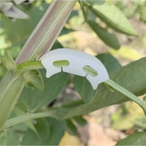 Clip de support pour tomates Haihua, en plastique blanc, pour la plantation en jardin - Product Image 3