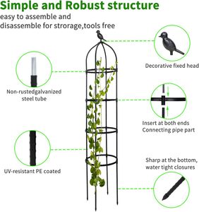 Fabriqué en usine plante fleur croissance escalade Cage arqué fleur support bonsaï plante escalade cadre de Support pour jardin - Product Image 4