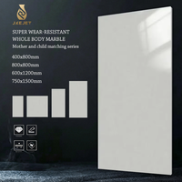 Carreaux muraux antidérapants pour salle de bain Foshan Modern 800*800mm, gris brillant glacé