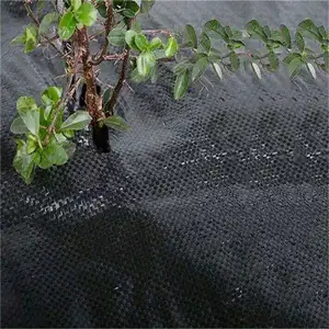 Agriculture Barrier Garden Ground Cover Grass Roll Plastic Roil Weed Control Mat