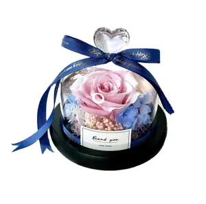 保存永恒的真正的玫瑰花在玻璃圆顶与礼品盒情人节礼物多种颜色