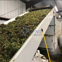 Machine de séchage de ceinture de maille de feuille de chanvre de CBD d'approvisionnement d'usine