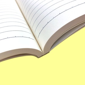 Thương hiệu mới 10 gói mỗi túi A5 & B5 kích thước máy tính xách tay cho các nhà văn, journalers, các cuộc họp kinh doanh & sinh viên - Product Image 4