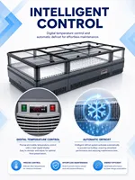Congélateur coffre No Frost à refroidissement par air, température unique, pour présentation en supermarché, avec système de dégivrage automatique et grande fenêtre de visualisation