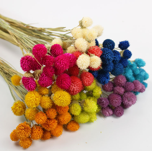 Натуральные сушеные растения, профессиональный производитель, букеты с сушеными цветами, клубника, разные типы красных цветов, сушеные цветы - Product Image 2