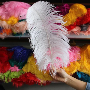 Plumes d'autruche colorées de qualité supérieure, 50-55 cm (20-22 po), pour costumes de carnaval et de festival - Product Image 6