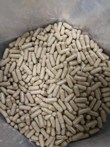 Maintenant, compléments OEM ODM, compléments à base de plantes, capsules de racine de renouée jaune pour le soutien de la santé du foie des adultes - Product Image 2