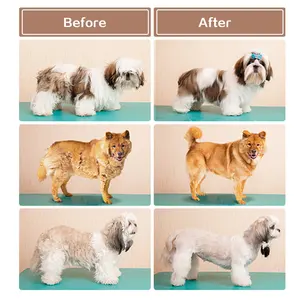 Oem New Pet grooming Kit im lặng Máy hút bụi chó loại bỏ tóc mèo tóc Cắt bàn chải công cụ Pet Dog Máy hút bụi Kit