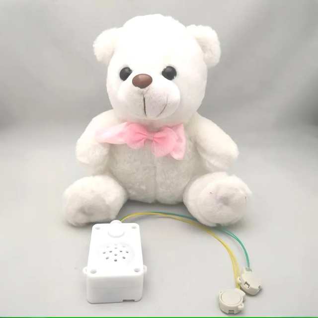 Factory Direct Hot Sale Speaker Mini Voice Recorder Chip Sound Module Boxes for Baby Stuff Musical Gift Toy