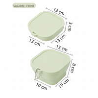 Boîte à lunch en silicone personnalisée en gros, réutilisable, OEM, pour adultes et enfants, boîte à lunch en silicone, boîte à lunch de cuisine, boîte à lunch pour le camping