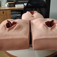 Modelo de entrenamiento de Ciencias Médicas DARHMMY para la práctica de sutura vulvar de obstetricia y ginecología