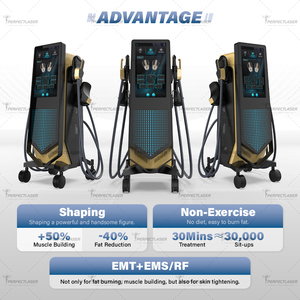 2026 Perfectlaser Kas Stimülatörü EMS Makinesi Tedarikçisi 14 Tesla RF Kas Geliştirme EMS Zero Makinesi Fiyatı - Product Image 4