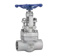 Matériaux en acier forgé de haute qualité, soudure par manchon, joint fileté NPT, vanne d'arrêt haute température pour l'huile et le gaz J61F F304