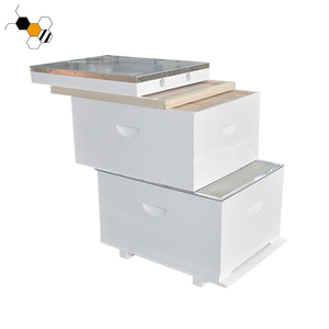 <span class=keywords><strong>BEE</strong></span> <span class=keywords><strong>Hive</strong></span> cách điện tổ ong trắng tổ ong hộp - Product Image 2