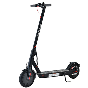 Scooter Eléctrico Plegable de Aleación de Aluminio Rayce 350W sin Escobillas de Alta Calidad de Fabricante Profesional a un <span class=keywords><strong>Precio</strong></span> Razonable - Product Image 1
