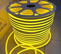 Taille personnalisée 220V Silicone LED Néon Bande Lumières IP67 PVC Lampe Corps Découpable Guirlandes Lumineuses Paysages Extérieurs Décorations Plug