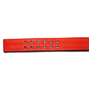 Hot Selling 2 Zoll strap azier fähiges Nylon gewebe Double Pin Buckle Hunde halsband mit Griff und weichem Neopren gepolstertem Futter - Product Image 5