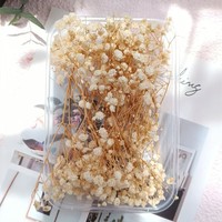 Coffret Cadeau de Carte de Vœux avec Fleurs de Gypsophile Éternelles, Emballage Décoratif, Fleurs Séchées, Kit DIY Gypsophila, Personnalisable