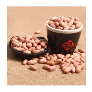 Wholesale Sale Of High-quality Large And Plump Raw Peanuts