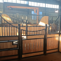 Box d'écurie équestre extérieure en métal HDG pour chevaux, garantie 1 an, hauteur 2,2 m, taille personnalisée certifiée, prix usine