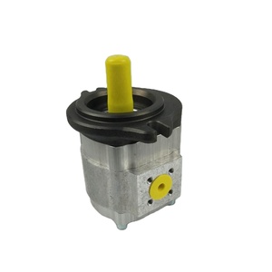 Bomba Hidráulica Original Serie EIPS2 EIPS2-019RA04-11 S111 Bomba de Engranajes para Máquina de Moldeo por Inyección - Product Image 3