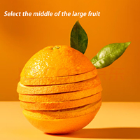 Tranches d'orange séchées FD entièrement naturelles en gros, emballage en vrac, issues d'oranges fraîches pour l'exportation à prix raisonnable