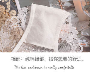 <span class=keywords><strong>XXXXXXL</strong></span> stok siyah çiçek dantel şeffaf Hollow Out kadın iç çamaşırı seksi külot artı boyutu yay halat kadın iç çamaşırı külot - Product Image 4