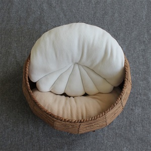 Newborn <strong>Baby</strong> Photography Props <strong>Pillow</strong> <strong>Baby</strong> Products Photography Mat Art Fabric Photography Props Shell <strong>Pillow</strong> - Product Image 6