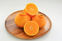 Mandarines japonaises au goût rafraîchissant, fruits frais naturels de qualité supérieure, fournisseurs en gros