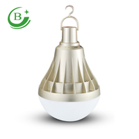Lampu LED Isi Ulang 50W Multifungsi USB Praktis Harga Terjangkau untuk Keadaan Darurat