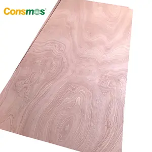 1220*2440mm Okoume Bintangor Crayon Cèdre Pin Bouleau Sapele Contreplaqué Commercial - Product Image 3