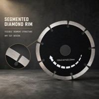 Lame de scie diamantée segmentée DTW 125 mm pour coupe à sec, épaisseur 2,0 mm, alésage 22,23 mm pour applications de découpe sur meuleuse d'angle