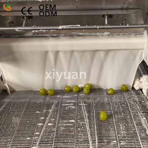Macchina Multifunzionale Commerciale per Rivestimento di Cioccolato e Refrigerazione, per la Produzione di Frutta Secca, Snack Soffiati, Uva e Verdure - Product Image 5