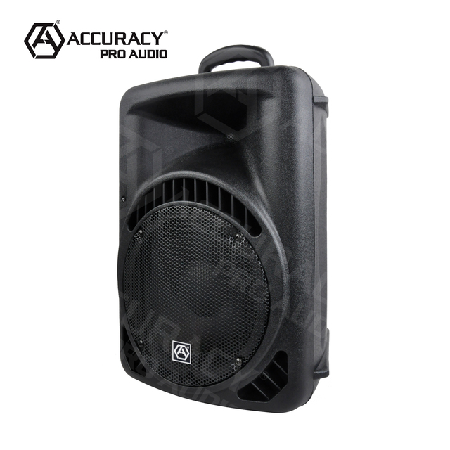 Accuracy Pro Audio PMD12H 12 Inch Bt 300W Karaoke Party Plastic Loudspeaker Speaker Portable Passive Speakers Professional