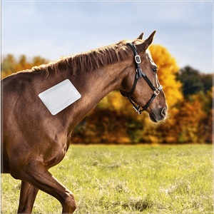 Curativo Adesivo Reutilizável de Espuma para Feridas de Animais para Cavalos e Cães, Sem Látex, Curativo Veterinário Ajustável - Product Image 4