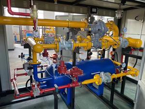 Regolatore di Gas Naturale <span class=keywords><strong>CNG</strong></span> di Alta Qualità Zhengxin, Ingresso 1.5MPa, Uscita 0.4MPa, Portata 2000Nm/h, Acciaio al Carbonio e Acciaio Inossidabile - Product Image 3