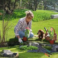 Utensili da giardino in acciaio fai da te 2-in-1 con impugnatura lunga zappa e timone per diserbo giardinaggio e impianto di supporto OEM personalizzabile