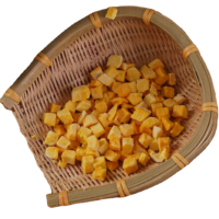 China fabriek levert gevriesdroogde mango 100% natuurlijke fruitsnack intense mangosmaak knapperig & licht voor bakken & gastronomie