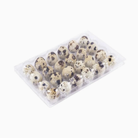 Barquette à œufs de caille en PET transparent certifiée REACH, écologique, 24 alvéoles, jetable, personnalisable, durable, emballage blister pour la vente en gros