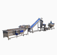 Industriële productielijn voor automatische tomatenpuree