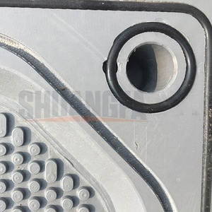 Beste Prijs Cgr Pakkingkamer En Membraanfilterpersplaat Met Epdm-Afdichting - Product Image 6