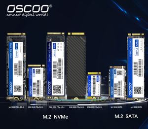 OSCOO M.2 2280 M2 SSD 512GB 256GB NGFF SATA 128GB 256GB 1TB 2TB SSD sabit disk PC Laptop için - Product Image 5