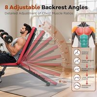 Banc de musculation de base Besster pour salle de sport à domicile, 8 positions de dossier réglables, capacité de charge de 660 lb, pliable et compact