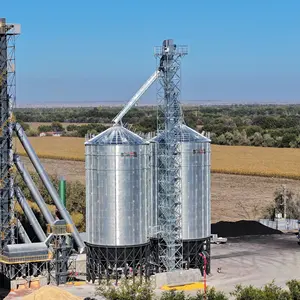 Tangki baja galvanis pertanian paddy 100ton silo 10000 ton silo gandum