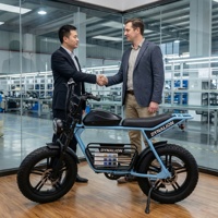 Vélo électrique personnalisé en couleur, prix direct usine avec options de logo OEM, idéal pour les foires commerciales et les réunions d'acheteurs